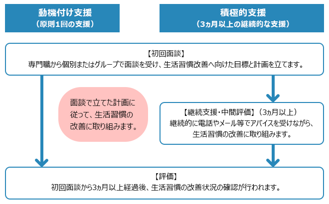 特定保健指導の支援の流れ